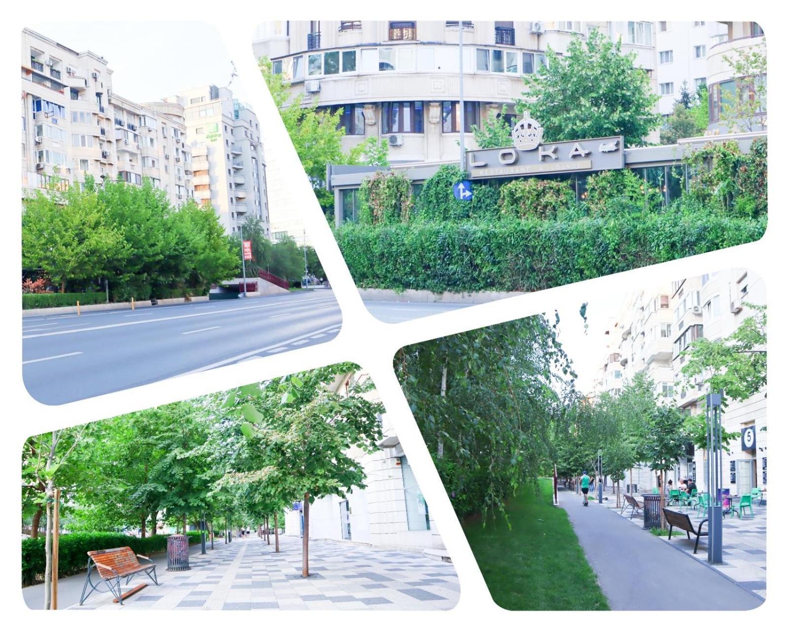 Central Apartament Bulevardul Decebal Bucureşti Ngoại thất bức ảnh